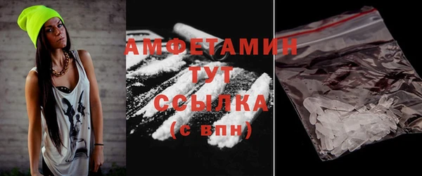 МДПВ Бородино
