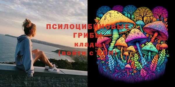 ECSTASY Майский