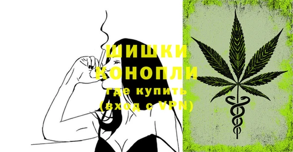 ECSTASY Майский