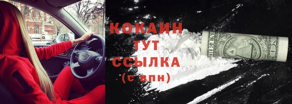 ECSTASY Майский