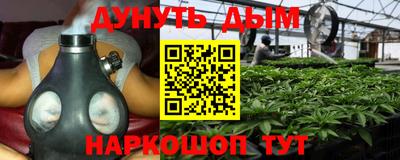 стафф Заводоуковск