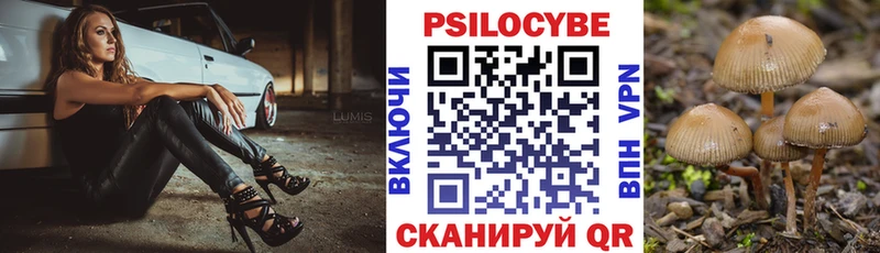 где найти наркотики  Миллерово  Галлюциногенные грибы ЛСД 
